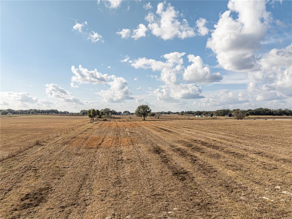 A vast, dry, open field under a bright blue sky with scattered white clouds — COUNTY ROAD 101, OXFORD, FL