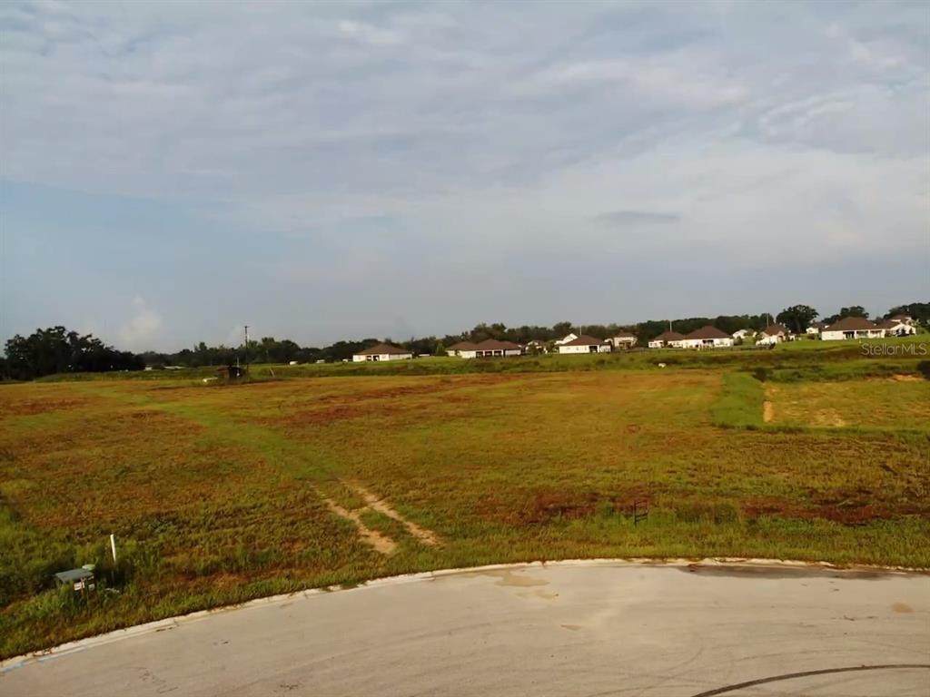 A view of a vacant, grassy lot from a paved cul-de-sac with distant houses — 10016 WHITE EGRET DRIVE, THONOTOSASSA, FL