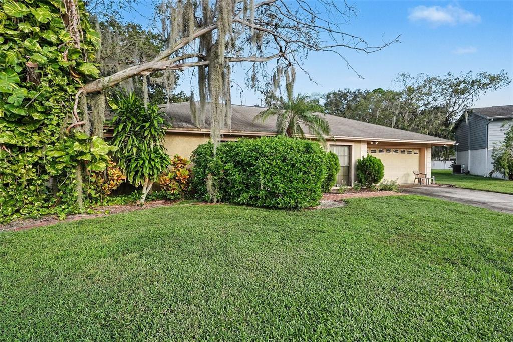 602 SPECK COURT, TAMPA, FL — photo 3 of 16