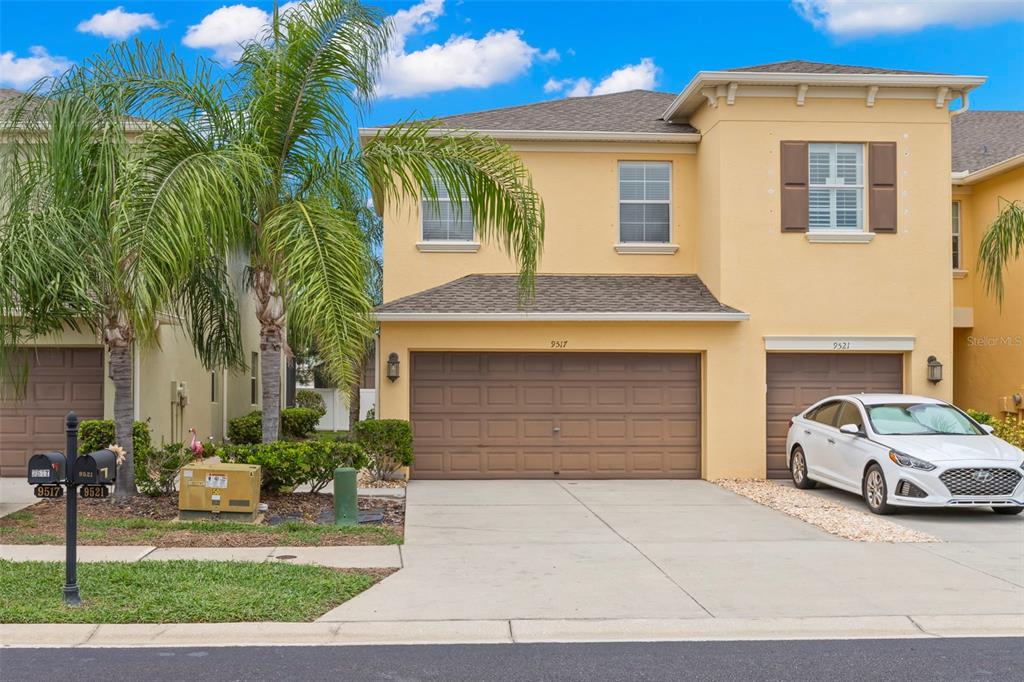 9517 TRUMPET VINE LOOP