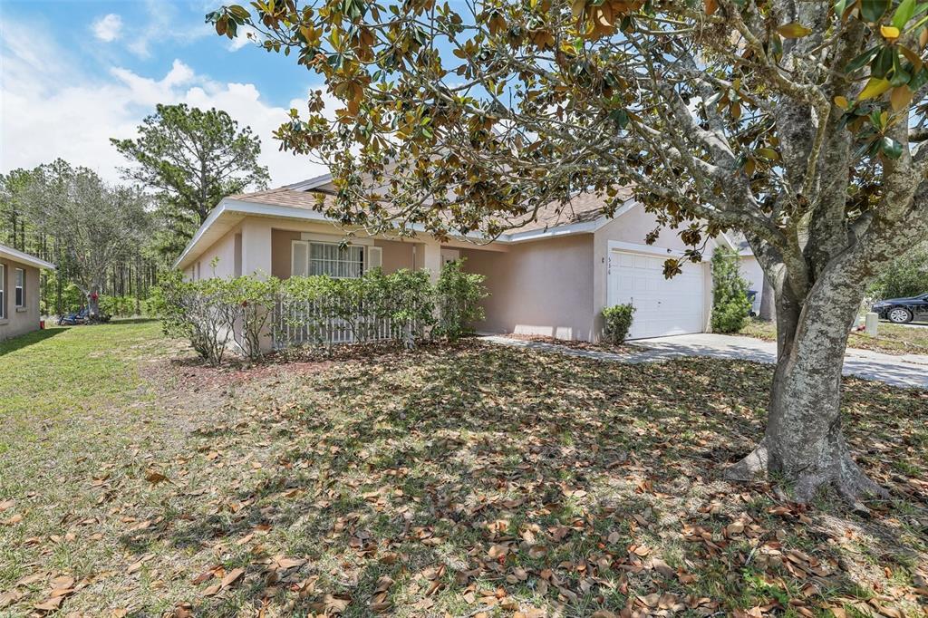 A single-story house with a beige exterior, a one-car garage, and a large tree out front — 536 PINE CONE DRIVE, DAVENPORT, FL