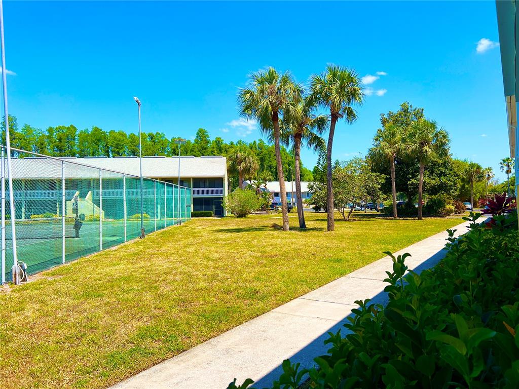 A view of a tennis court next to a grassy lawn, palm trees, and apartment buildings — 1849 ABRICO DRIVE UNIT K9, LUTZ, FL
