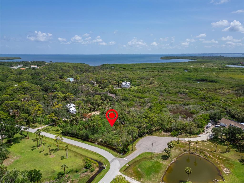 An aerial view shows a wooded lot marked with a red pin near a road — STRATHMORE AVENUE, OLDSMAR, FL