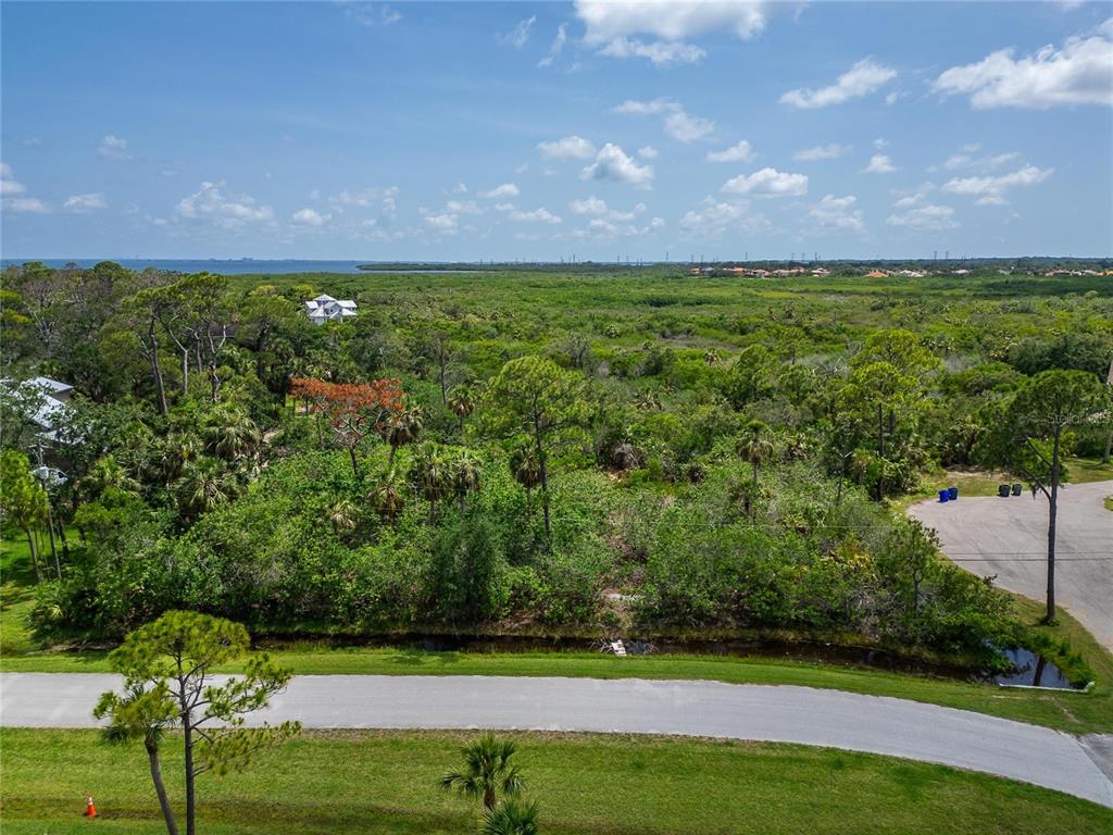 An aerial view shows a wooded lot bordered by a road and a small canal — STRATHMORE AVENUE, OLDSMAR, FL