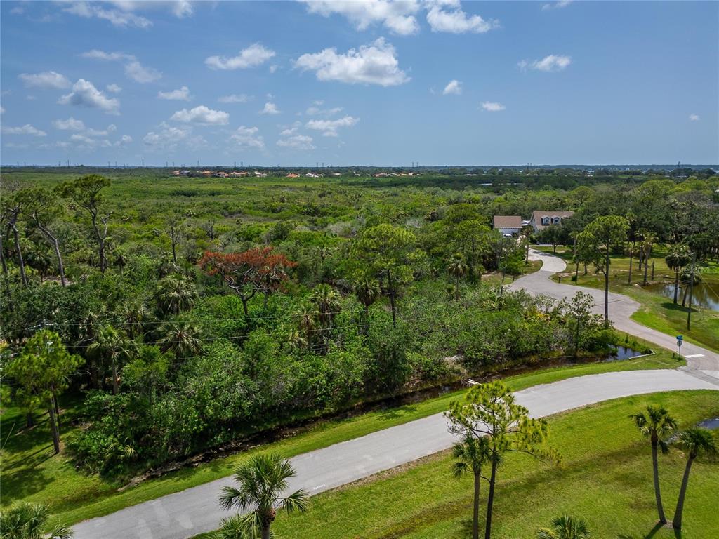 An aerial view shows a paved road curving past a wooded area and a house — STRATHMORE AVENUE, OLDSMAR, FL