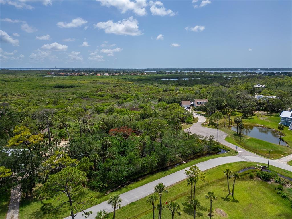 An aerial view shows a paved road winding through a wooded area near a pond — STRATHMORE AVENUE, OLDSMAR, FL