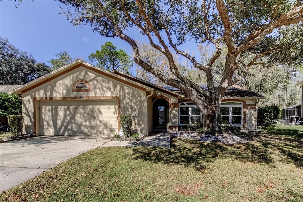 A single-story house with a beige stucco exterior, a two-car garage, and a large tree — 1795 BAYHILL DRIVE, OLDSMAR, FL