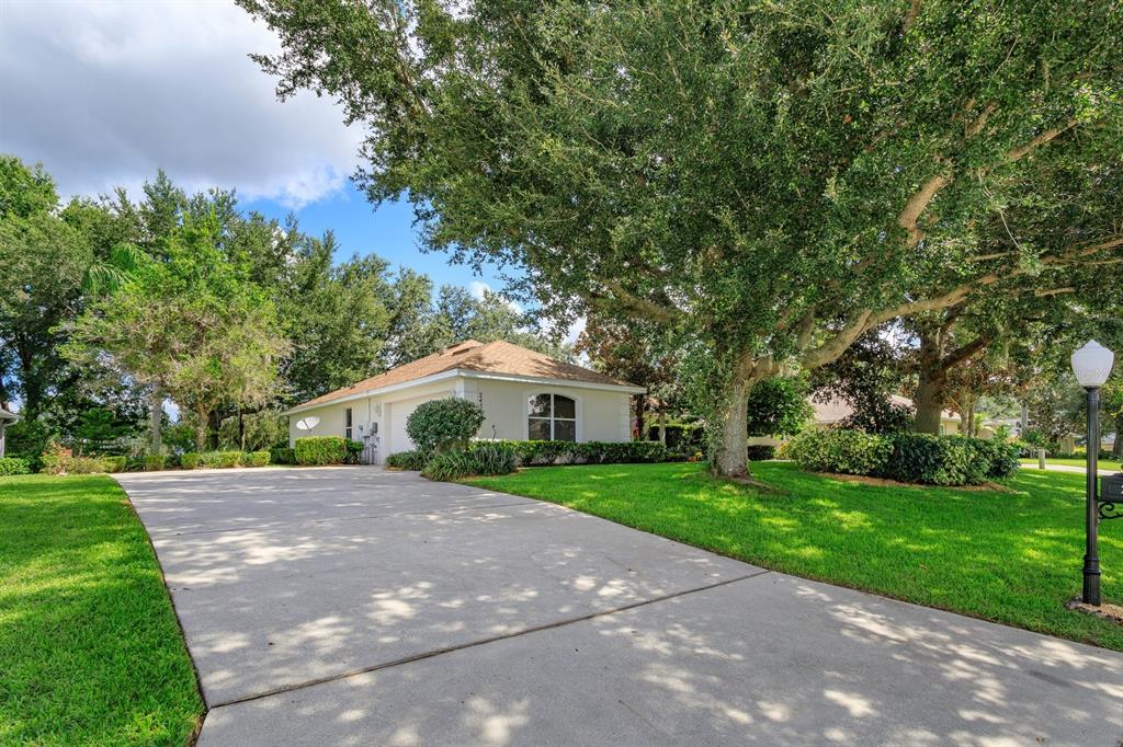 A concrete driveway leads to a single-story house shaded by large oak trees — 24353 CALUSA BOULEVARD, EUSTIS, FL