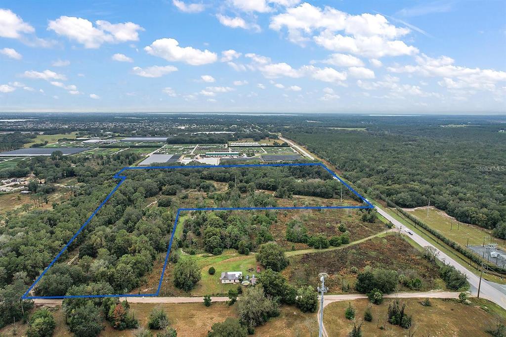 An aerial view shows a large, wooded plot of land outlined in blue — 34305 RIORDAN ROAD, EUSTIS, FL