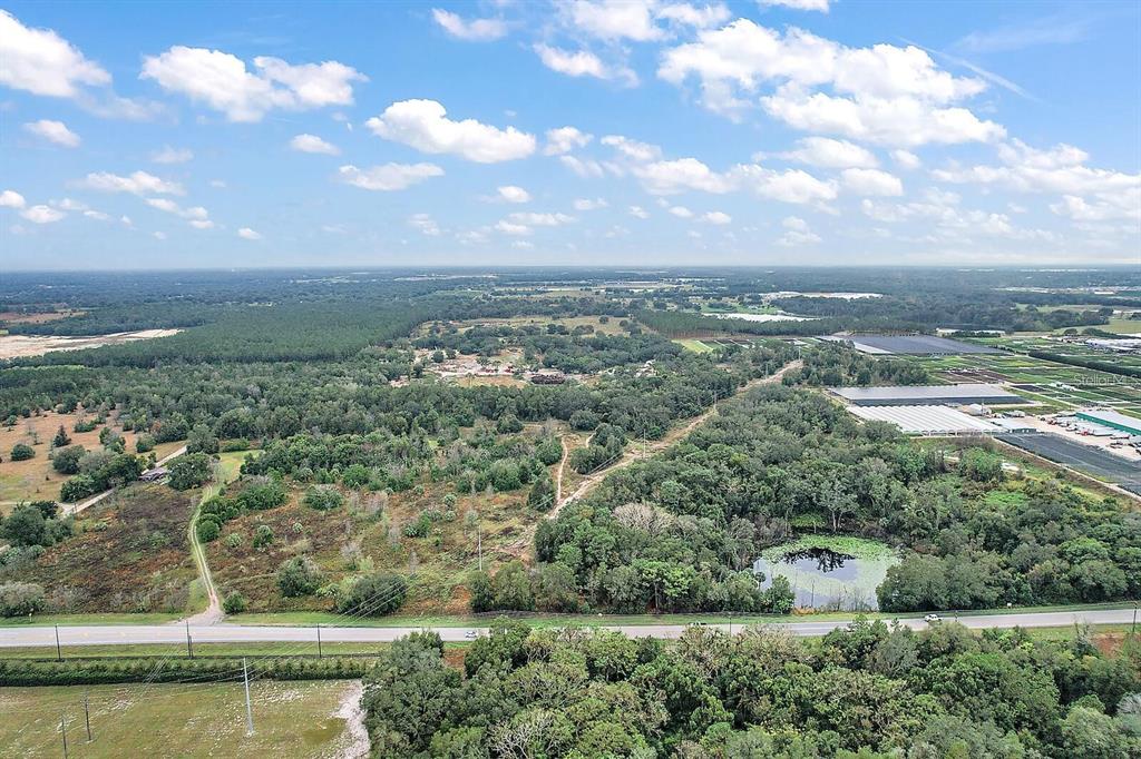 An aerial view shows a large, wooded plot of land with a pond and road — 34305 RIORDAN ROAD, EUSTIS, FL