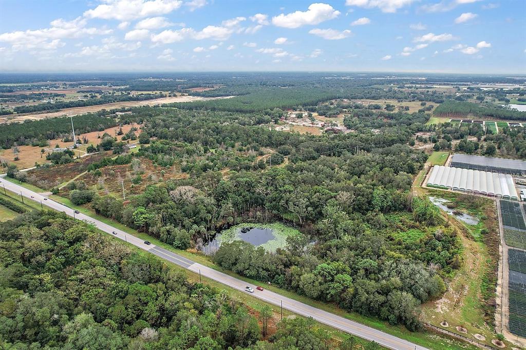 An aerial view shows a wooded lot with a small pond next to a road — 34305 RIORDAN ROAD, EUSTIS, FL
