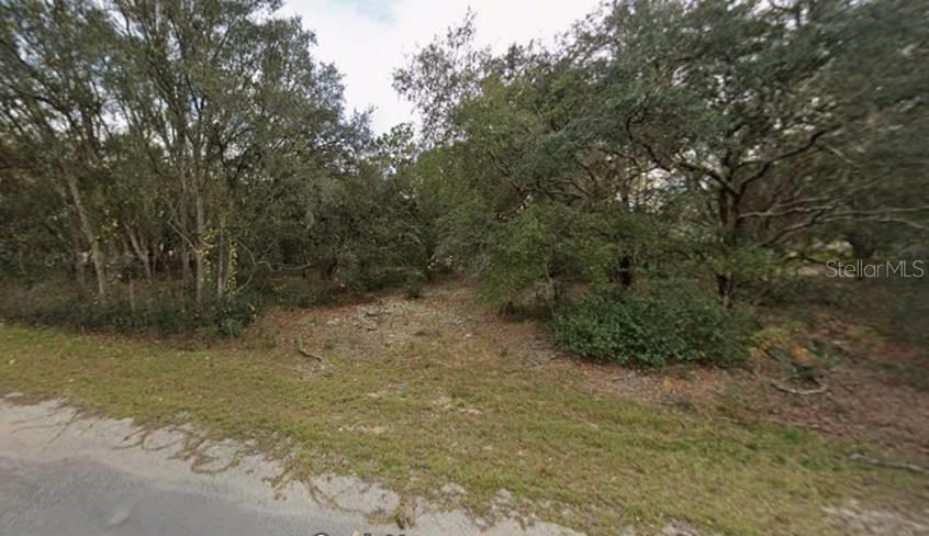 Lot 4 FISHER TERRACE PLACE, OCKLAWAHA, FL — photo 2 of 8