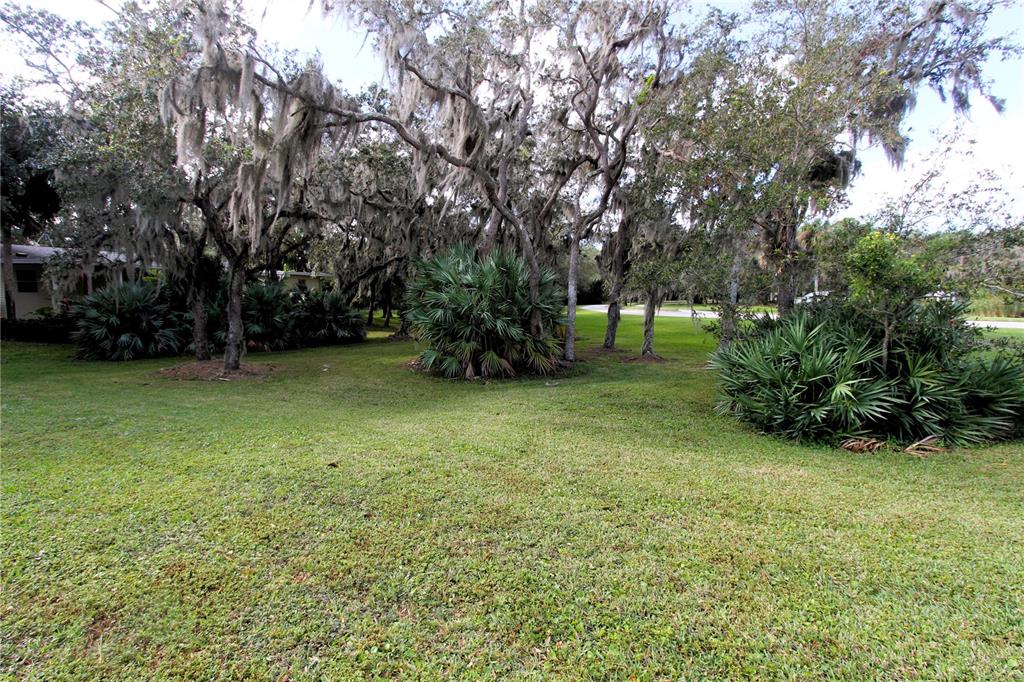 A grassy yard features several large trees draped in Spanish moss and dense palm bushes — 498 SIOUX BOULEVARD, OAK HILL, FL