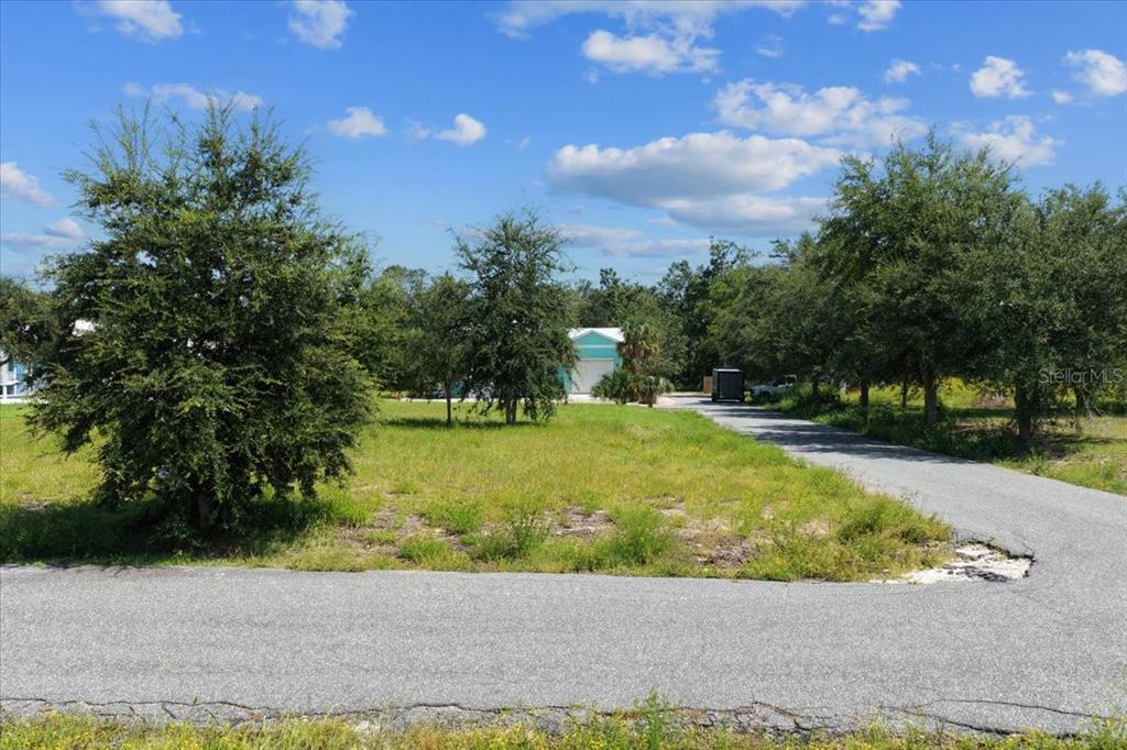 A paved driveway leads to a house set back behind trees on a grassy lot — 0 SW 869TH LOOP, STEINHATCHEE, FL