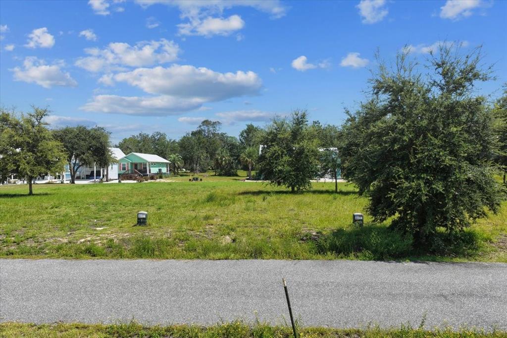 A vacant, grassy lot with scattered trees sits alongside a paved road — 0 SW 869TH LOOP, STEINHATCHEE, FL