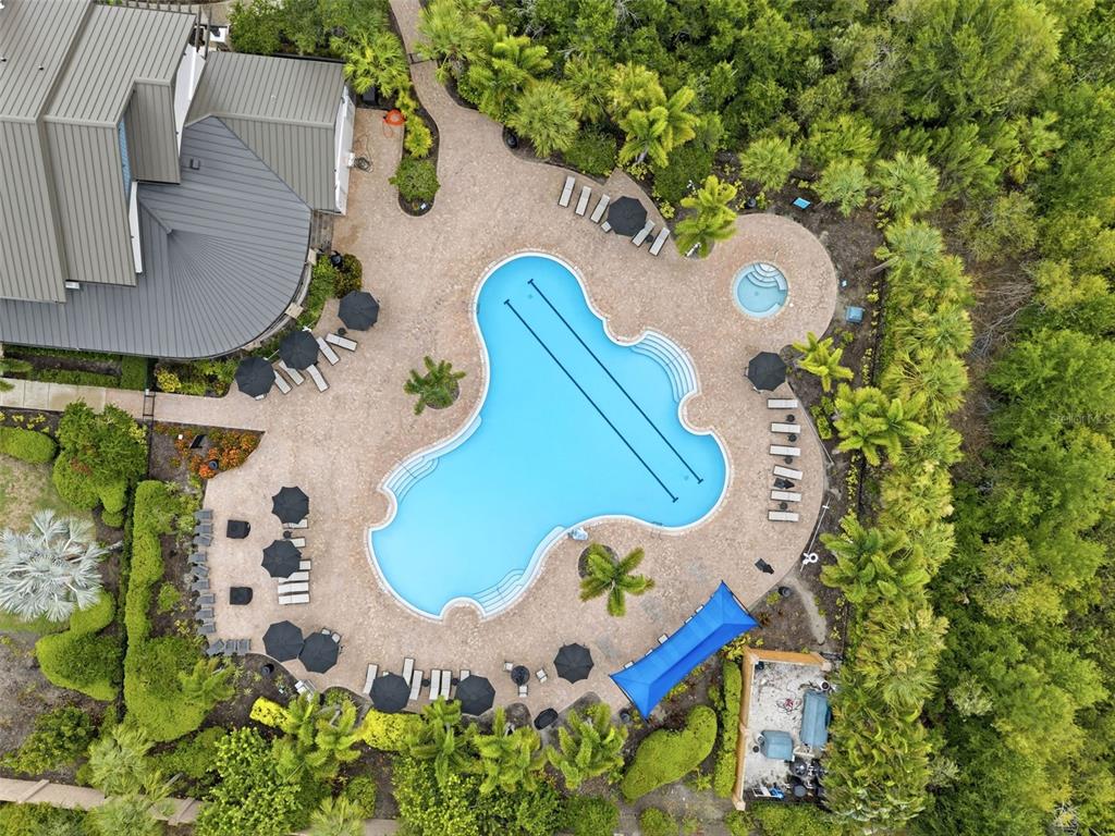 An aerial view shows a swimming pool with a spa, lounge chairs, and umbrellas — 6271 SPRINGMONT LOOP, PALMETTO, FL