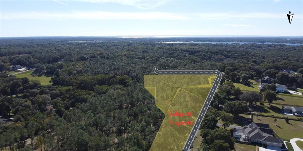 An aerial view of a wooded lot highlighted in yellow next to a paved road — 6203 ALLEN STREET, MOUNT DORA, FL