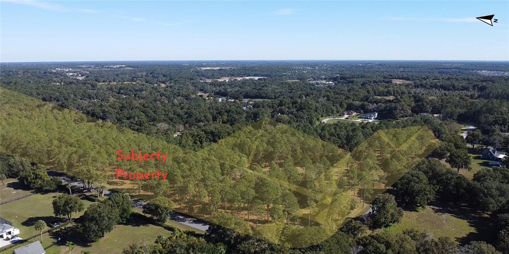An aerial view shows a wooded, undeveloped plot of land highlighted in yellow — 6203 ALLEN STREET, MOUNT DORA, FL