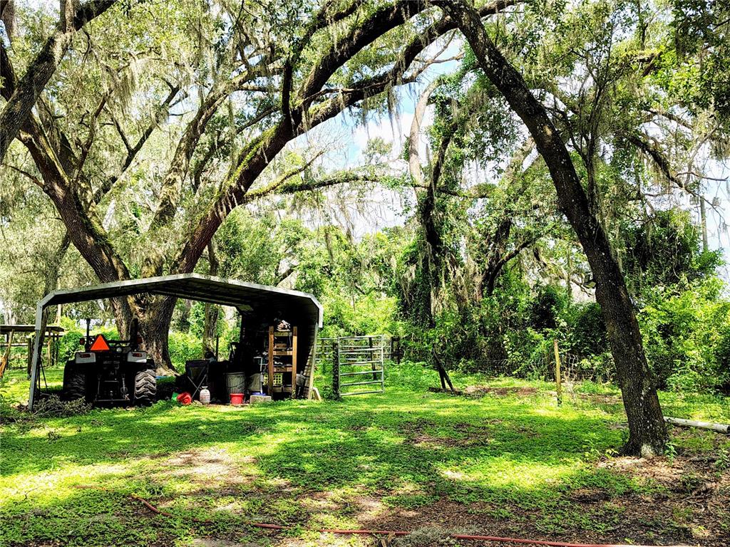 A metal carport shelters a tractor and storage shelving beneath large, moss-draped oak trees — 14240 SR 471, WEBSTER, FL