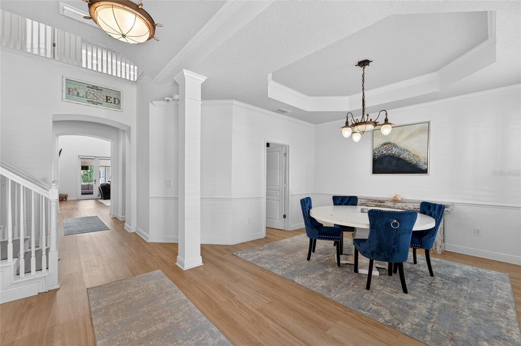 A dining room with a tray ceiling, chandelier, and blue chairs on a patterned rug — 616 MIRABAY BOULEVARD, APOLLO BEACH, FL