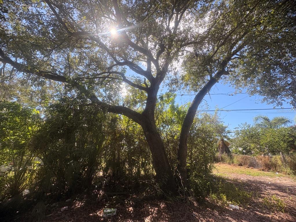 A large oak tree with a thick trunk stands in a sunny, overgrown yard — 2603 GOLDWYN DRIVE, RUSKIN, FL
