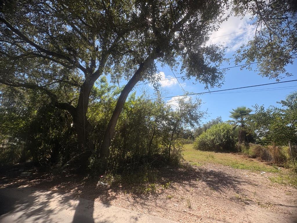 A grassy, partially shaded vacant lot with mature trees and a palm tree — 2603 GOLDWYN DRIVE, RUSKIN, FL