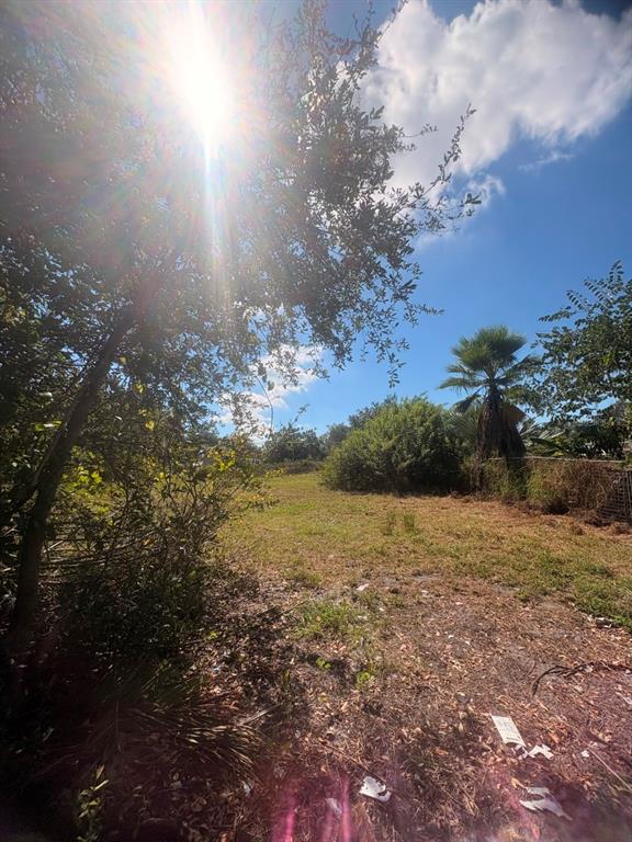 A sunny, grassy vacant lot with trees and a palm tree under a blue sky — 2603 GOLDWYN DRIVE, RUSKIN, FL