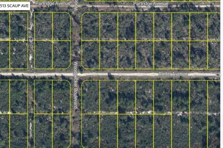 An aerial map view shows a grid of undeveloped land parcels divided by dirt roads — 478 DARTER AVENUE, SEBRING, FL