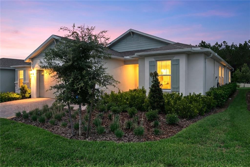 A single-story house with a paved driveway, landscaped front yard, and light-colored stucco exterior — 2546 DEL WEBB DR, MINNEOLA, FL