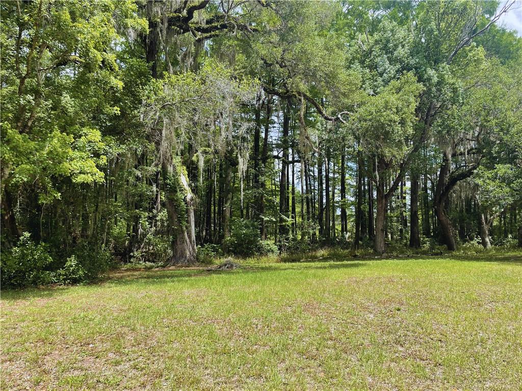 9381 S Great Oaks DRIVE, FLORAL CITY, FL — photo 3 of 13