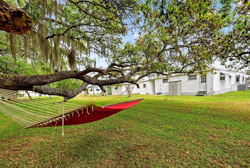 A red hammock hangs from a large tree in a grassy yard near mobile homes — 7 COCOS PLUMOSA DRIVE UNIT A, EUSTIS, FL