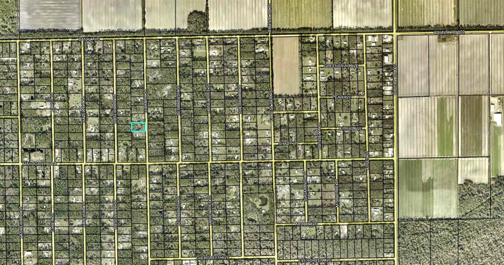 This is an aerial map showing a grid of residential lots and streets — 1396 HICKORY STREET, BUNNELL, FL