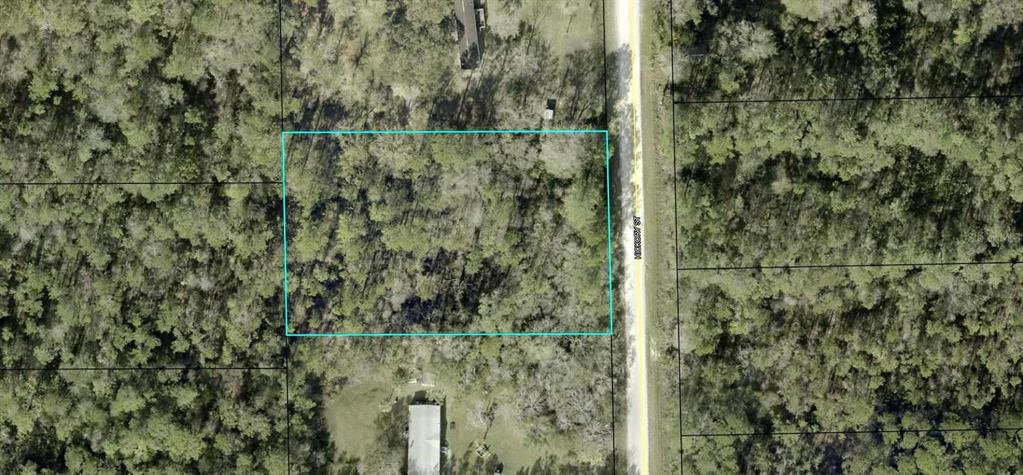 An aerial view shows a rectangular, wooded plot of land bordering a paved road — 1396 HICKORY STREET, BUNNELL, FL