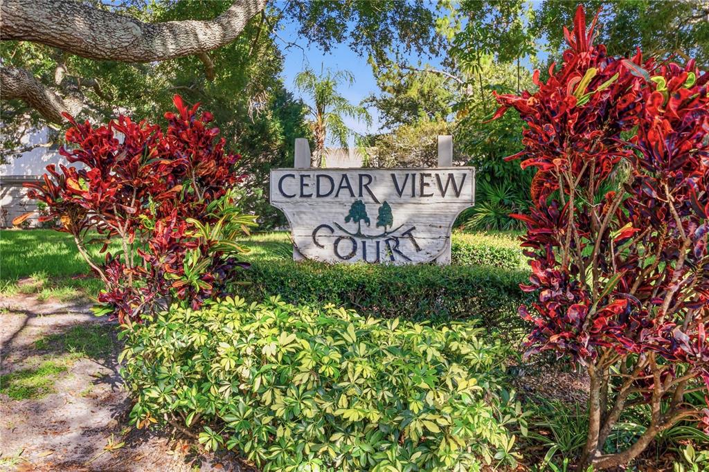 A wooden sign reading Cedar View Court stands in a garden with colorful croton plants — 2628 CEDAR VIEW COURT, CLEARWATER, FL
