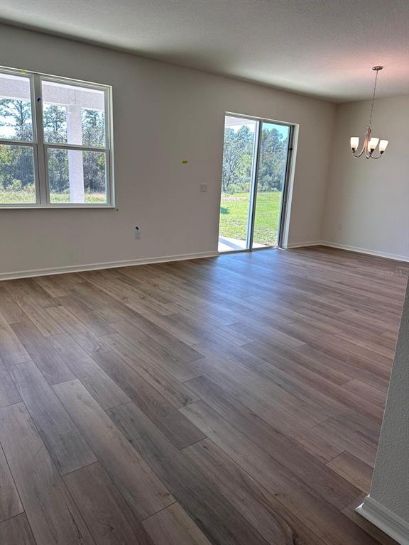 An empty room with wood-look flooring, a sliding glass door, and a hanging light fixture — 16553 BROOK ISLE WAY, CLERMONT, FL