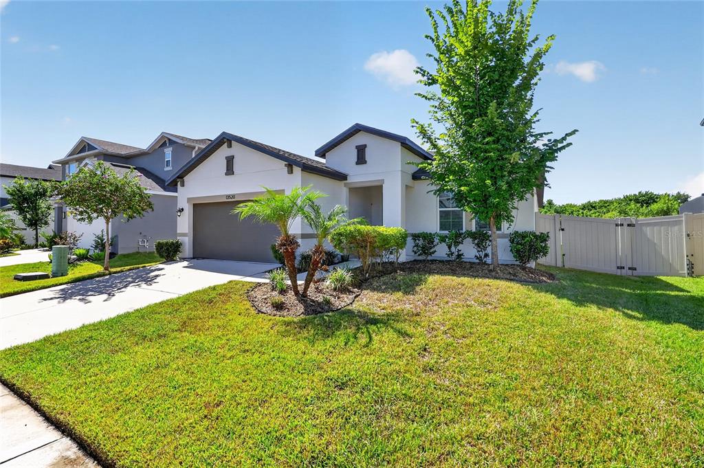 A single-story suburban house with a two-car garage, a front lawn, and a palm tree — 13520 PALMERA VISTA DRIVE, RIVERVIEW, FL