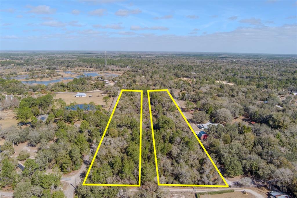 An aerial view shows two adjacent, wooded rectangular lots outlined in yellow — COCHRAN ROAD, GENEVA, FL