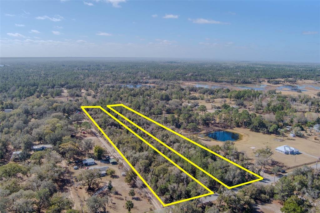 An aerial view shows two adjacent, wooded rectangular lots outlined in yellow — COCHRAN ROAD, GENEVA, FL
