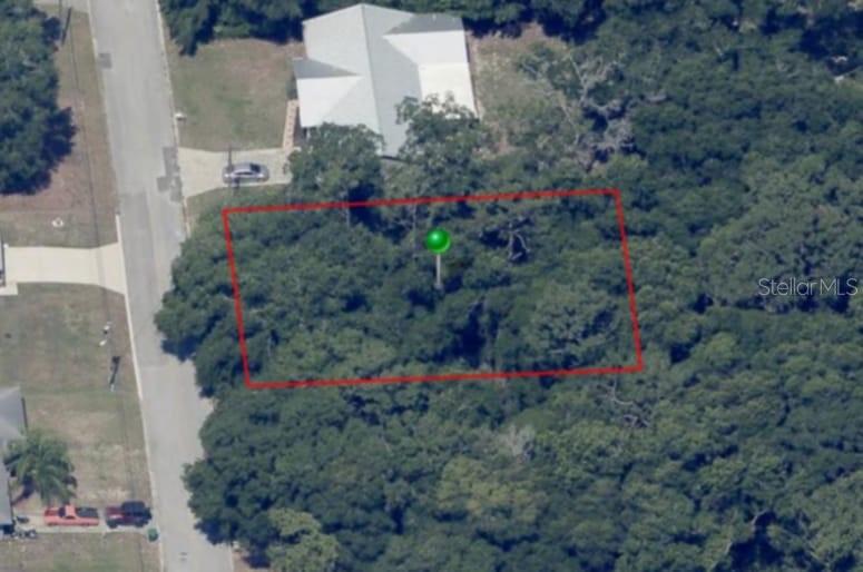 This is an aerial view of a wooded, rectangular plot of land outlined in red — 204 ADELPHI STREET, INVERNESS, FL