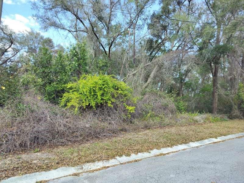 A vacant, wooded lot sits alongside a paved residential street — 204 ADELPHI STREET, INVERNESS, FL