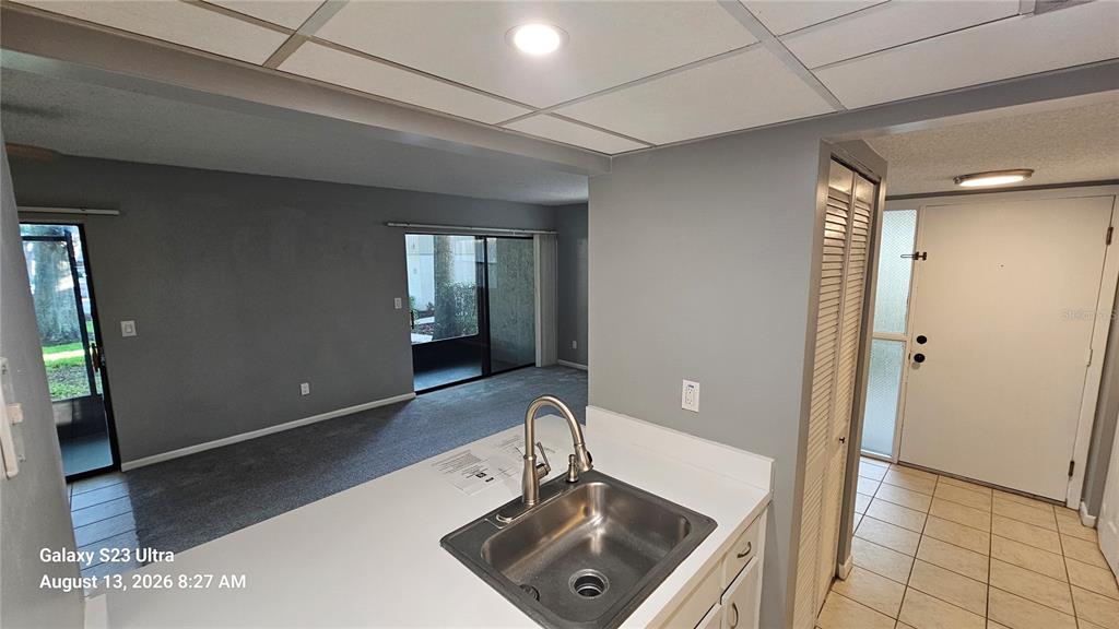 A kitchen sink overlooks a gray-carpeted living area with sliding glass doors leading outside — 7 CASTANIA COURT, ST AUGUSTINE, FL