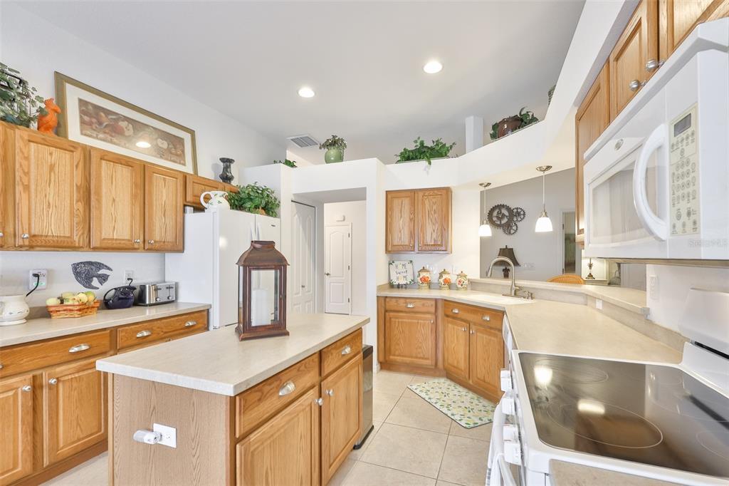 1251 CORINTH GREENS DRIVE, SUN CITY CENTER, FL — photo 5 of 30