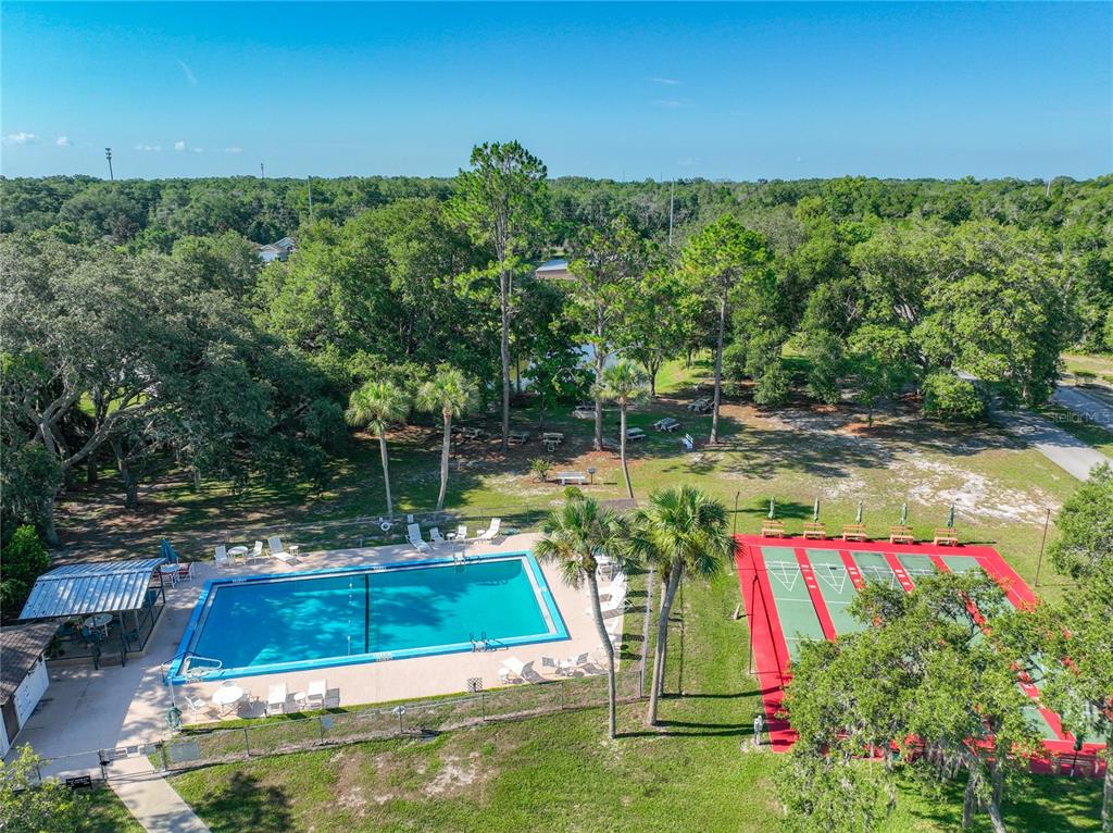 An aerial view of a swimming pool and a red shuffleboard court in a park — 1925 BROOKSIDE DRIVE, MOUNT DORA, FL
