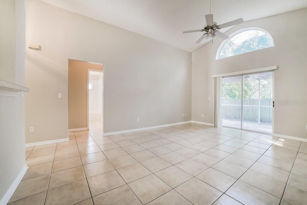 4111 QUAIL BRIAR DRIVE, VALRICO, FL — photo 3 of 16
