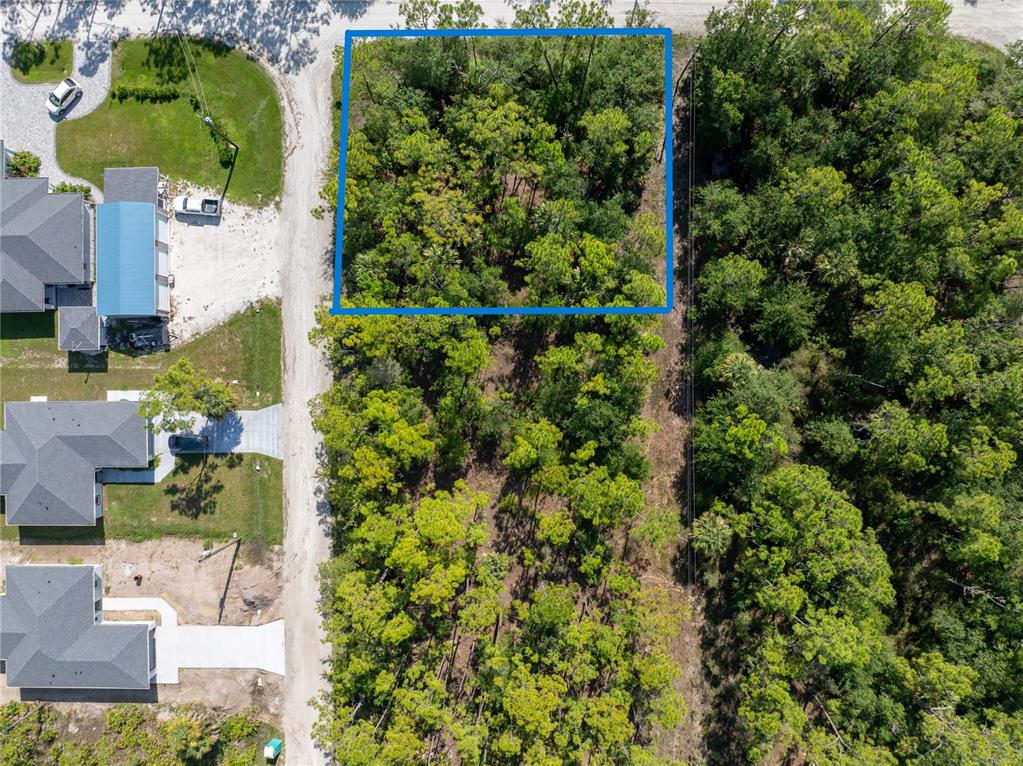 An aerial view shows a rectangular wooded lot outlined in blue next to a dirt road — 28093 ARGYLE DRIVE, PUNTA GORDA, FL