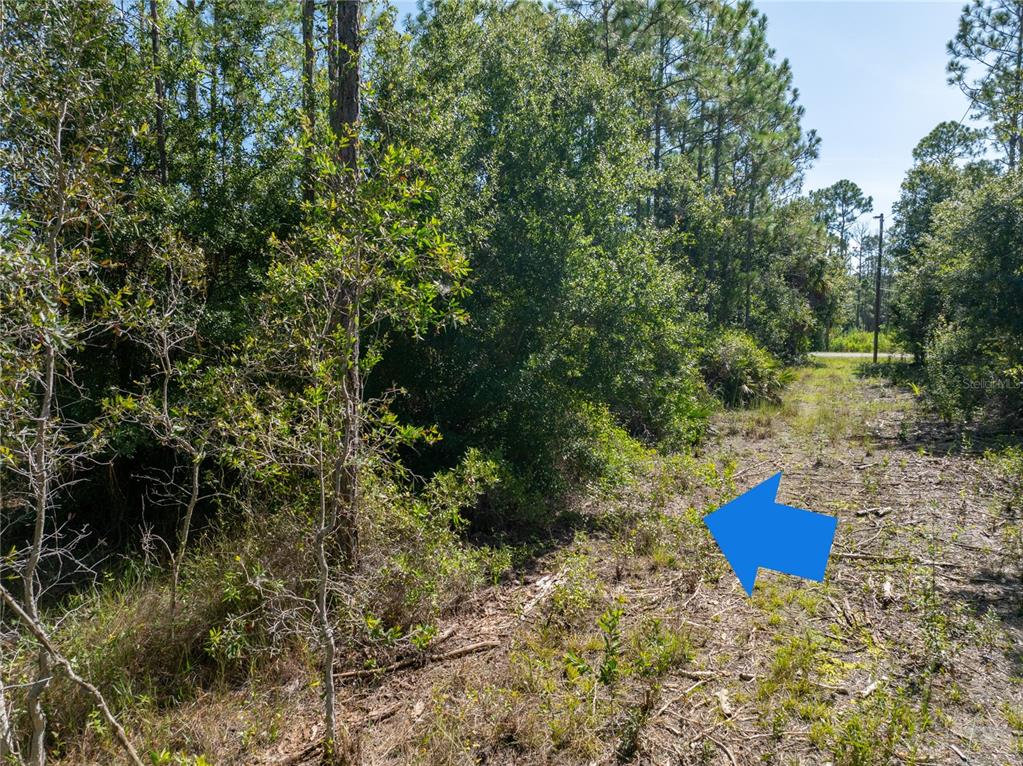 A blue arrow points toward a wooded, undeveloped lot with cleared brush and tall trees — 28093 ARGYLE DRIVE, PUNTA GORDA, FL