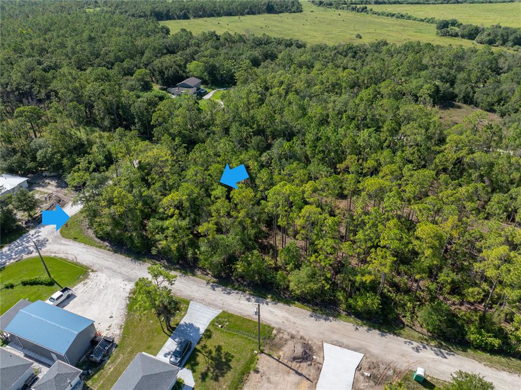 An aerial view shows a wooded residential lot next to a gravel road and houses — 28093 ARGYLE DRIVE, PUNTA GORDA, FL