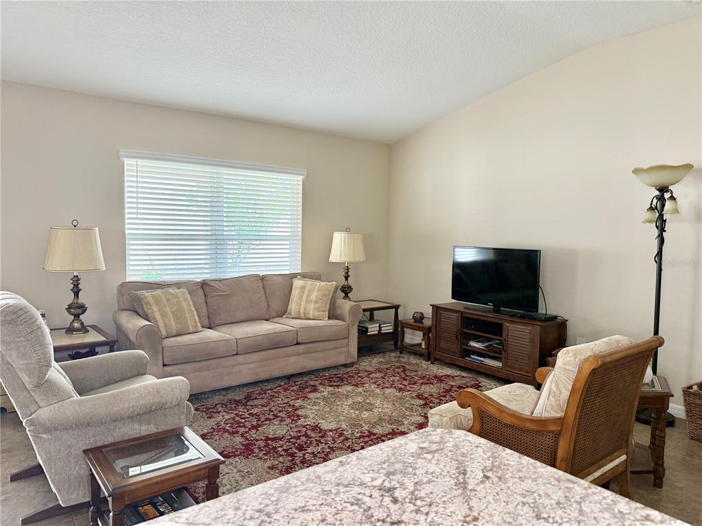 A living room features a beige sofa, two armchairs, a television console, and a rug — 9242 FREEDOM HILL DR, SEFFNER, FL