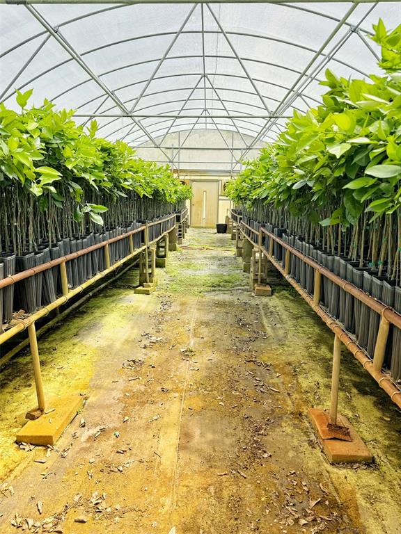 A greenhouse interior features rows of potted saplings on elevated metal racks — 612 MORGAN ROAD, WINTER HAVEN, FL