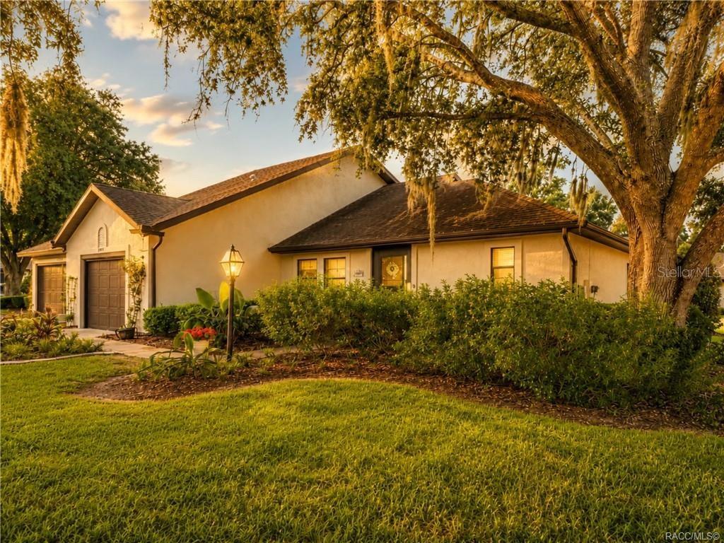 A single-story house with a brown roof, stucco exterior, and a large tree in front — 6487 W LEXINGTON DRIVE, CRYSTAL RIVER, FL
